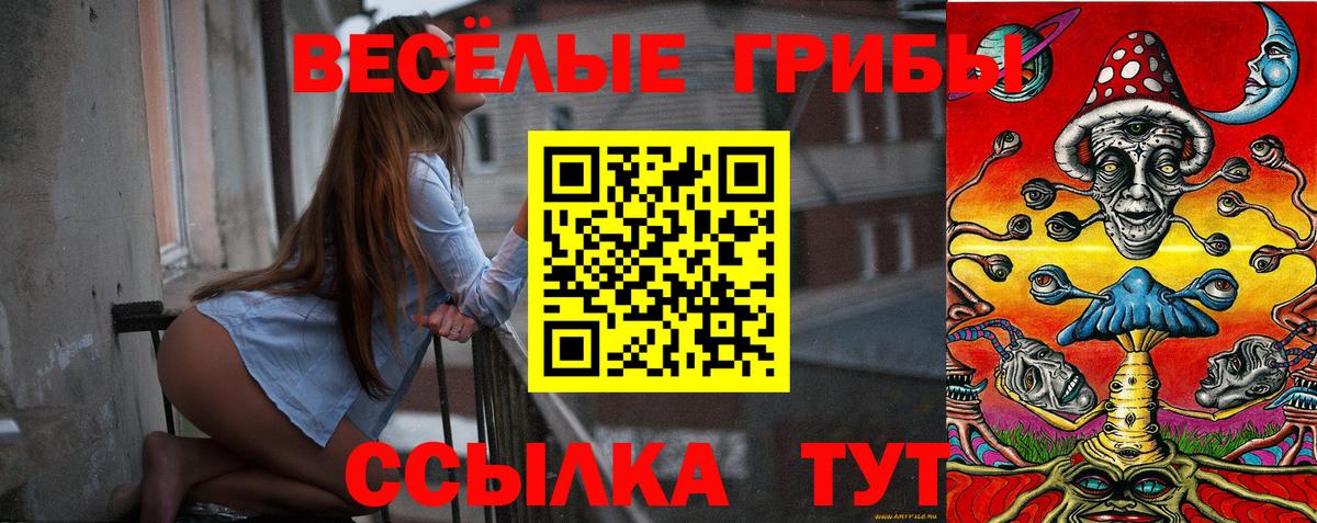 Димитровград  Псилоцибиновые грибы MAGIC MUSHROOMS  Вход с VPN 